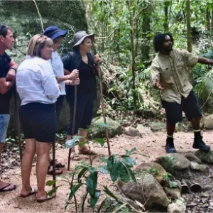 tour-guide in forest